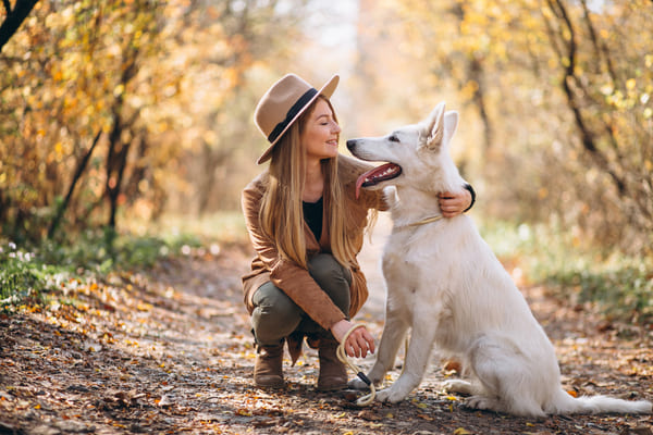 acaced avec chien