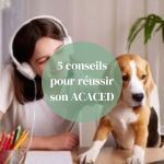 conseils pour avoir ACACED